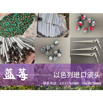 以色列进口---PC & PCND 管上式滴头