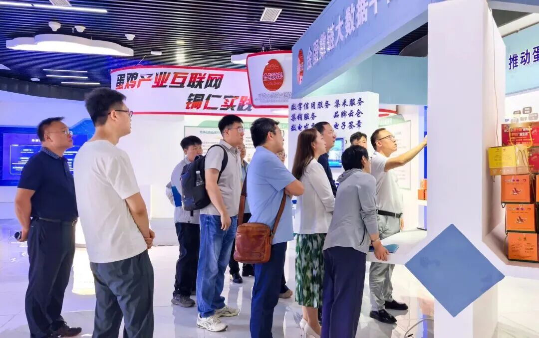 走进贵州蛋鸡标杆场见证精准养殖方案_2d8ddbf84fa0265e129c9f9f4d4f9003.jpg