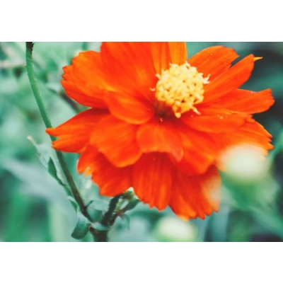 arka自动叠片过滤器